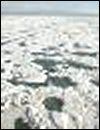 The North Pole